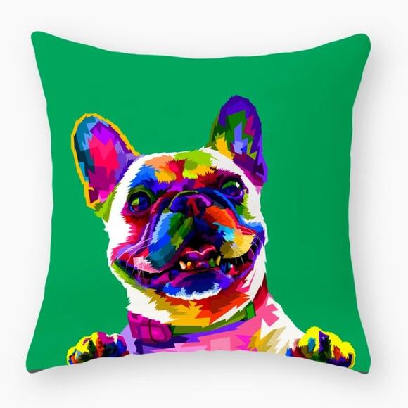 Private Label Other - Rainbow Frenchie Throw-Pillow Case NWOT